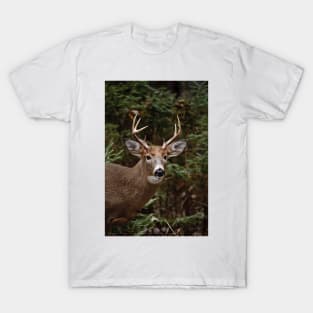 White-tailed deer T-Shirt